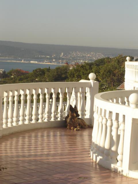 Family Hotel Casablanca Green Varna Extérieur photo